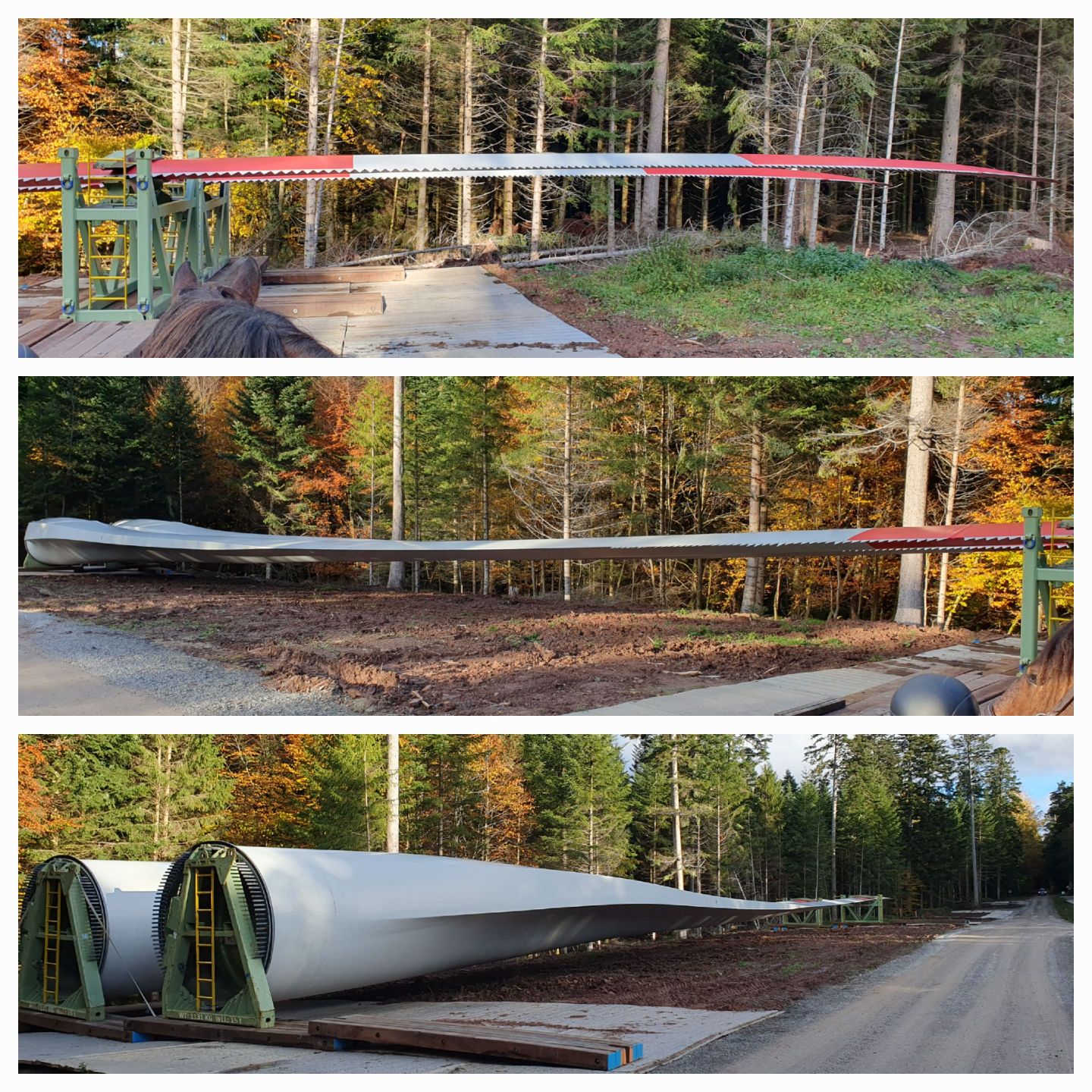 2023 11 November 577